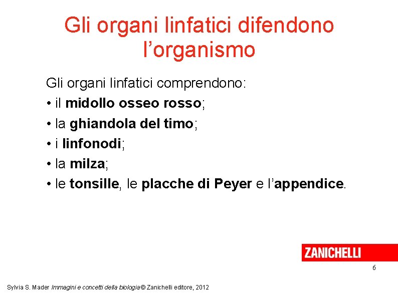 Gli organi linfatici difendono l’organismo Gli organi linfatici comprendono: • il midollo osseo rosso;