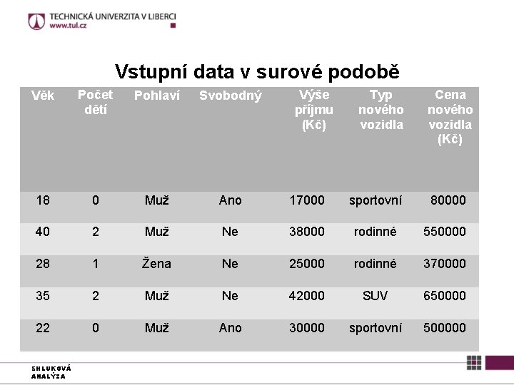 Vstupní data v surové podobě Výše příjmu (Kč) Typ nového vozidla Cena nového vozidla