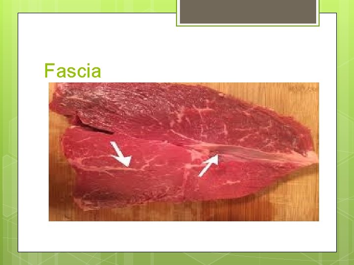 Fascia 