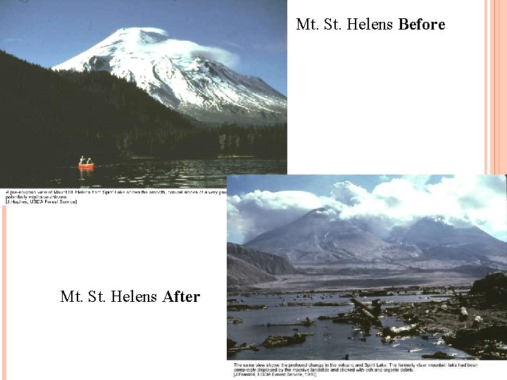 Mt. St. Helens Before Mt. St. Helens After 