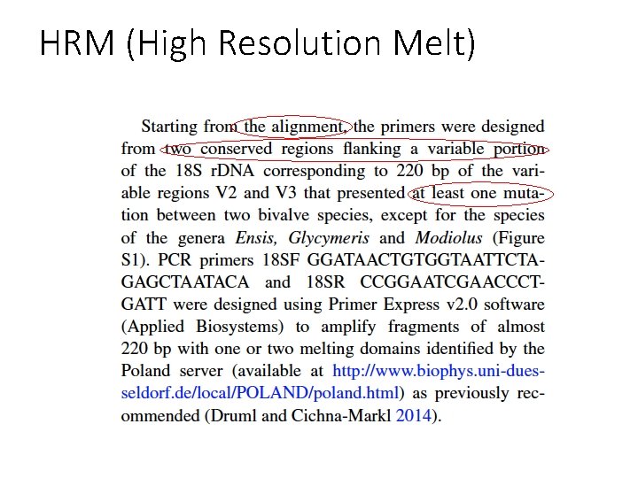 HRM (High Resolution Melt) 