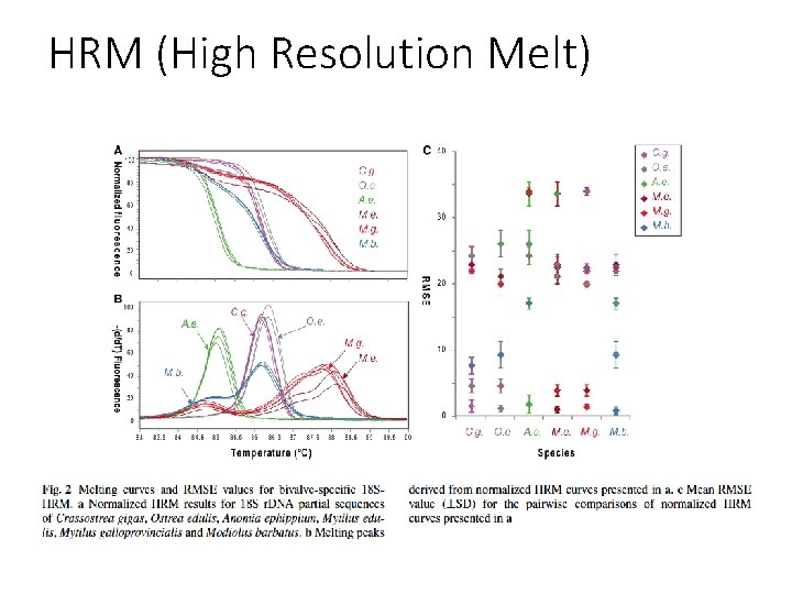 HRM (High Resolution Melt) 