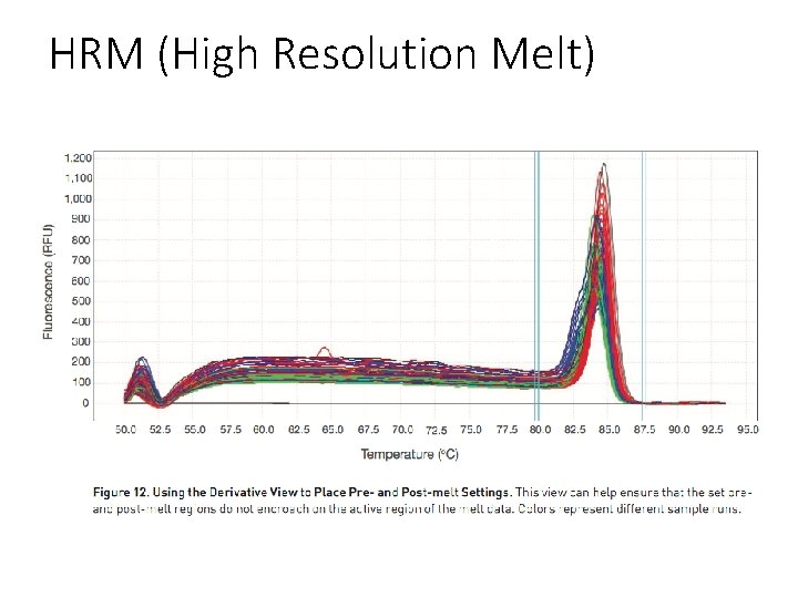 HRM (High Resolution Melt) 