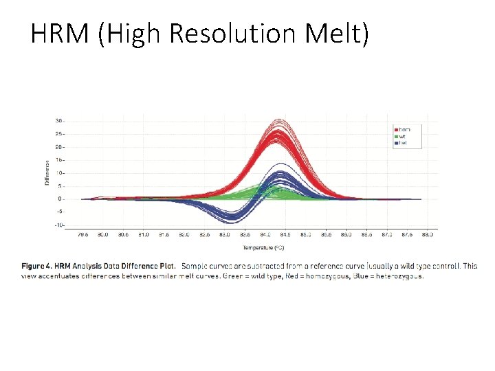 HRM (High Resolution Melt) 