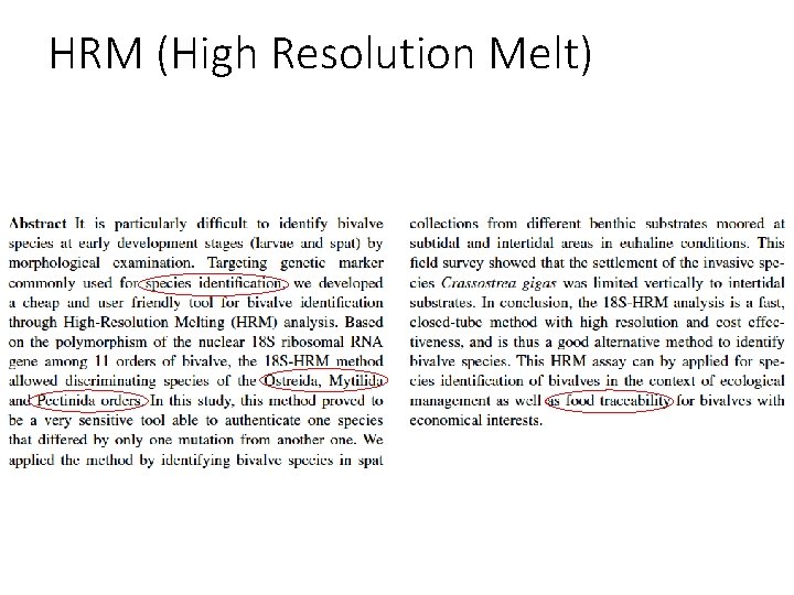 HRM (High Resolution Melt) 