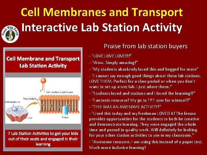 Cell Membranes and Transport Interactive Lab Station Activity Praise from lab station buyers -