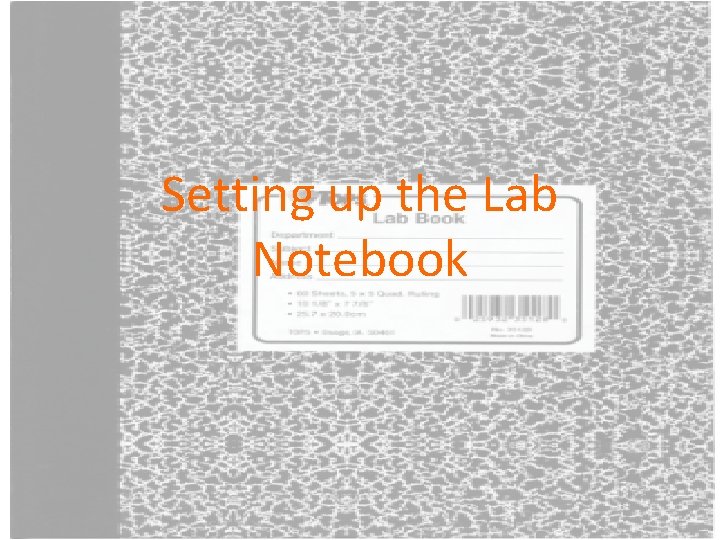 Setting up the Lab Notebook 