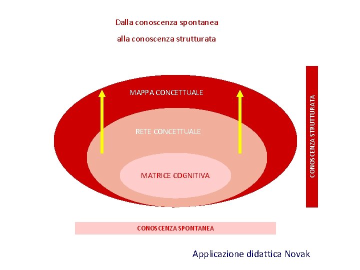Dalla conoscenza spontanea MAPPA CONCETTUALE RETE CONCETTUALE MATRICE COGNITIVA CONOSCENZA STRUTTURATA alla conoscenza strutturata Dalla conoscenza spontanea MAPPA CONCETTUALE RETE CONCETTUALE MATRICE COGNITIVA CONOSCENZA STRUTTURATA alla conoscenza strutturata