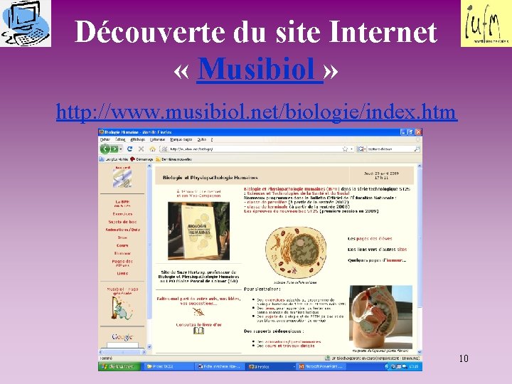 Découverte du site Internet « Musibiol » http: //www. musibiol. net/biologie/index. htm 10 