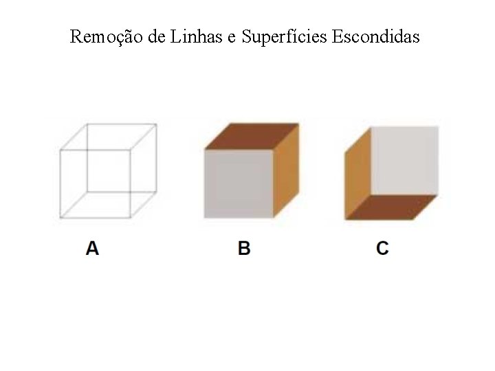 Remoção de Linhas e Superfícies Escondidas 