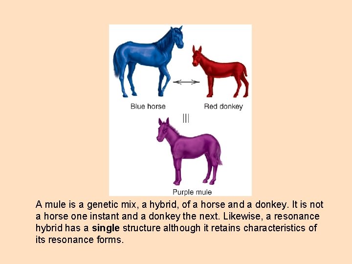A mule is a genetic mix, a hybrid, of a horse and a donkey.