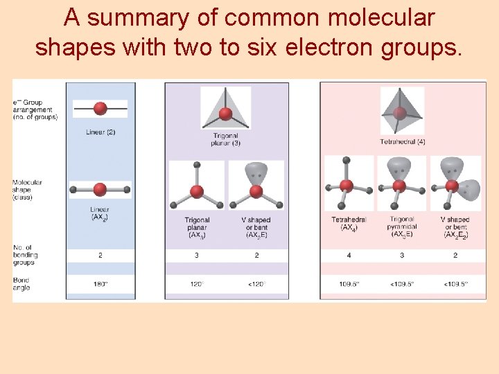A summary of common molecular shapes with two to six electron groups. 