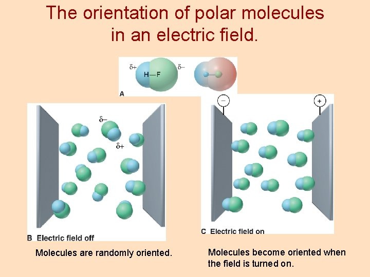 The orientation of polar molecules in an electric field. Molecules are randomly oriented. Molecules