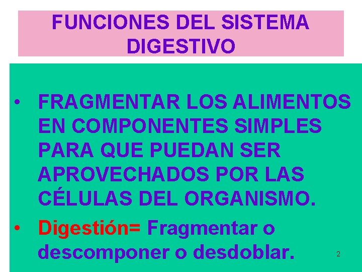 FUNCIONES DEL SISTEMA DIGESTIVO • FRAGMENTAR LOS ALIMENTOS EN COMPONENTES SIMPLES PARA QUE PUEDAN FUNCIONES DEL SISTEMA DIGESTIVO • FRAGMENTAR LOS ALIMENTOS EN COMPONENTES SIMPLES PARA QUE PUEDAN
