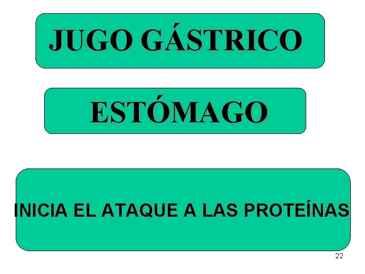 JUGO GÁSTRICO ESTÓMAGO INICIA EL ATAQUE A LAS PROTEÍNAS 22 JUGO GÁSTRICO ESTÓMAGO INICIA EL ATAQUE A LAS PROTEÍNAS 22
