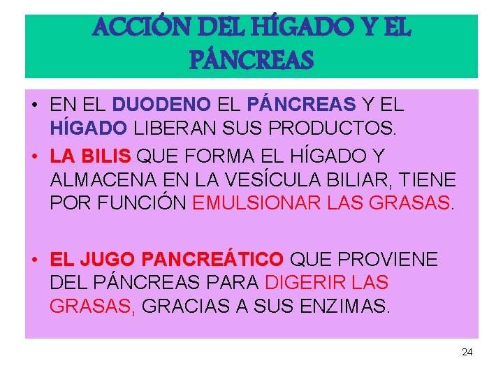 ACCIÓN DEL HÍGADO Y EL PÁNCREAS • EN EL DUODENO EL PÁNCREAS Y EL ACCIÓN DEL HÍGADO Y EL PÁNCREAS • EN EL DUODENO EL PÁNCREAS Y EL