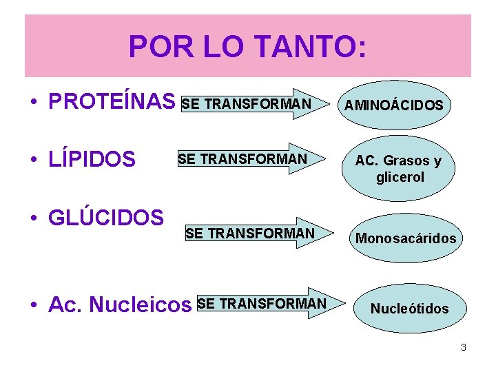 POR LO TANTO: • PROTEÍNAS SE TRANSFORMAN • LÍPIDOS • GLÚCIDOS SE TRANSFORMAN • POR LO TANTO: • PROTEÍNAS SE TRANSFORMAN • LÍPIDOS • GLÚCIDOS SE TRANSFORMAN •