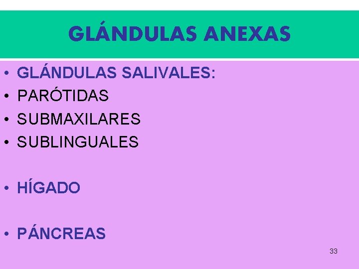 GLÁNDULAS ANEXAS • • GLÁNDULAS SALIVALES: PARÓTIDAS SUBMAXILARES SUBLINGUALES • HÍGADO • PÁNCREAS 33 GLÁNDULAS ANEXAS • • GLÁNDULAS SALIVALES: PARÓTIDAS SUBMAXILARES SUBLINGUALES • HÍGADO • PÁNCREAS 33