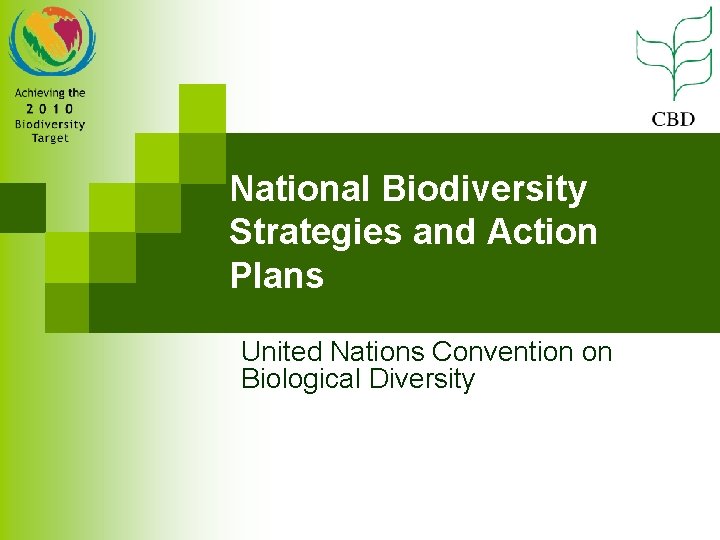 National Biodiversity Strategies and Action Plans United Nations Convention on Biological Diversity 