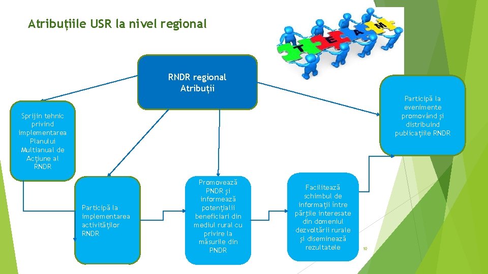 Atribuțiile USR la nivel regional RNDR regional Atribuții Participă la evenimente promovând și distribuind