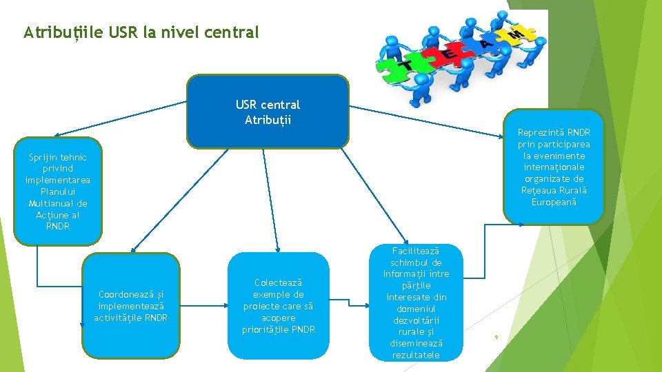 Atribuțiile USR la nivel central USR central Atribuții Reprezintă RNDR prin participarea la evenimente