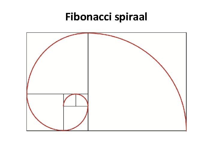 Fibonacci spiraal 