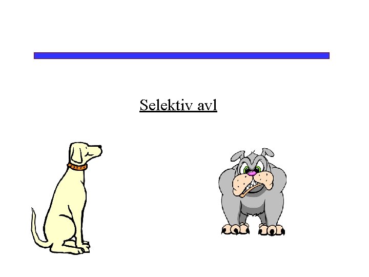 Selektiv avl 