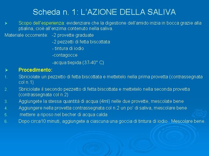 Scheda n. 1: L’AZIONE DELLA SALIVA Scopo dell’esperienza: evidenziare che la digestione dell’amido inizia Scheda n. 1: L’AZIONE DELLA SALIVA Scopo dell’esperienza: evidenziare che la digestione dell’amido inizia
