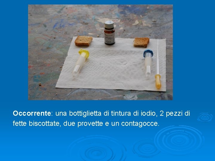 Occorrente: una bottiglietta di tintura di iodio, 2 pezzi di fette biscottate, due provette Occorrente: una bottiglietta di tintura di iodio, 2 pezzi di fette biscottate, due provette