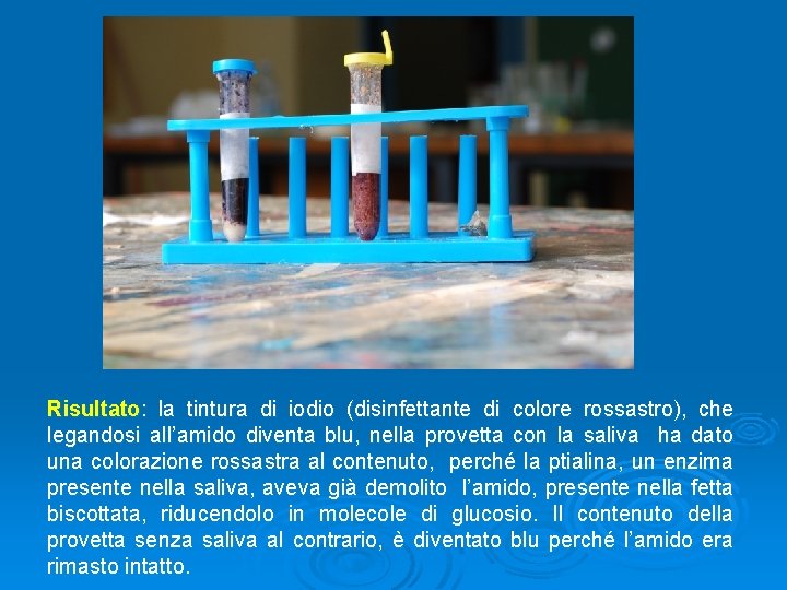 Risultato: la tintura di iodio (disinfettante di colore rossastro), che legandosi all’amido diventa blu, Risultato: la tintura di iodio (disinfettante di colore rossastro), che legandosi all’amido diventa blu,