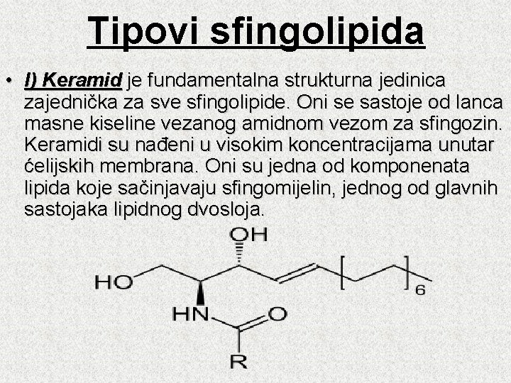 Tipovi sfingolipida • I) Keramid je fundamentalna strukturna jedinica zajednička za sve sfingolipide. Oni