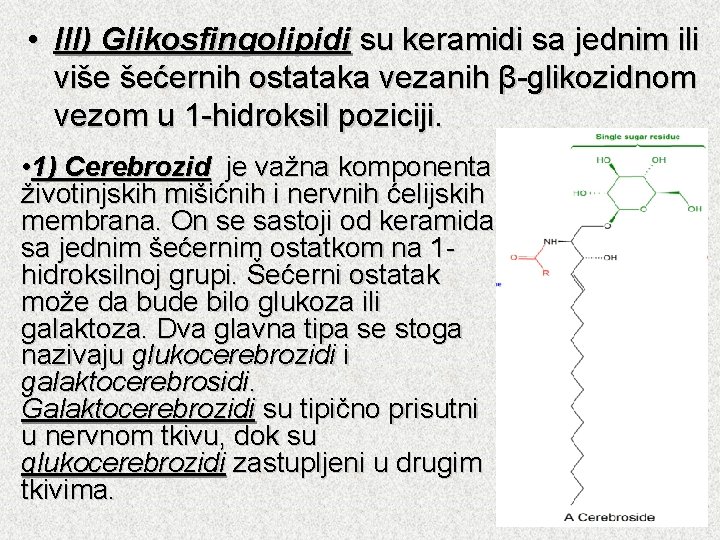  • III) Glikosfingolipidi su keramidi sa jednim ili više šećernih ostataka vezanih β-glikozidnom