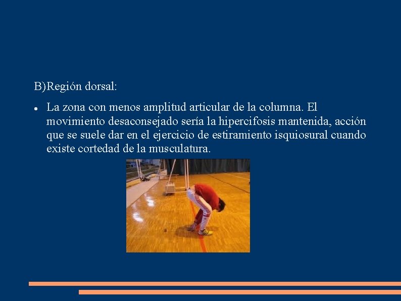 B) Región dorsal: La zona con menos amplitud articular de la columna. El movimiento