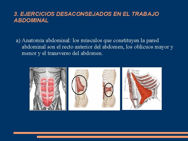 3. EJERCICIOS DESACONSEJADOS EN EL TRABAJO ABDOMINAL a) Anatomía abdominal: los músculos que constituyen