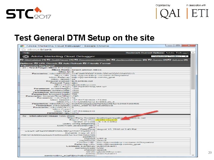 Test General DTM Setup on the site 29 