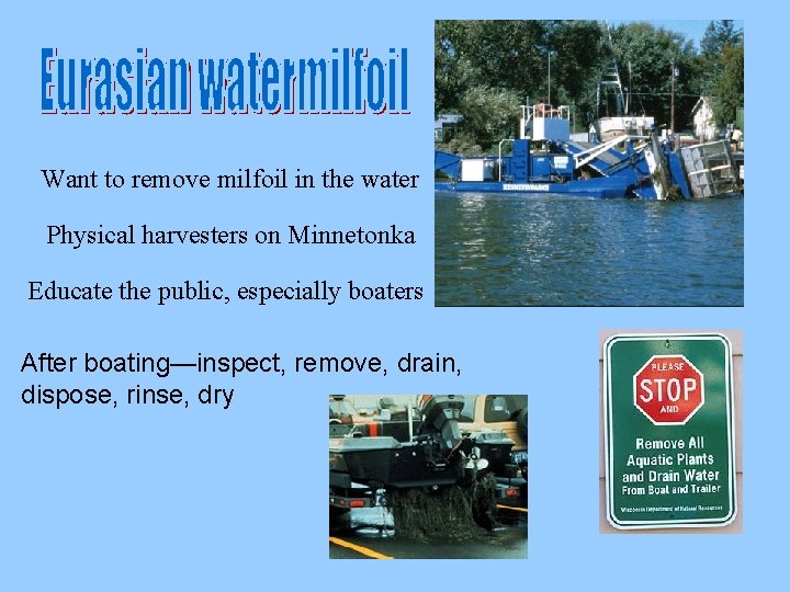 Want to remove milfoil in the water Physical harvesters on Minnetonka Educate the public,