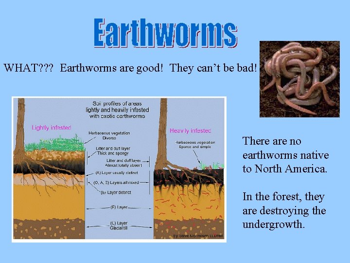 WHAT? ? ? Earthworms are good! They can’t be bad! There are no earthworms