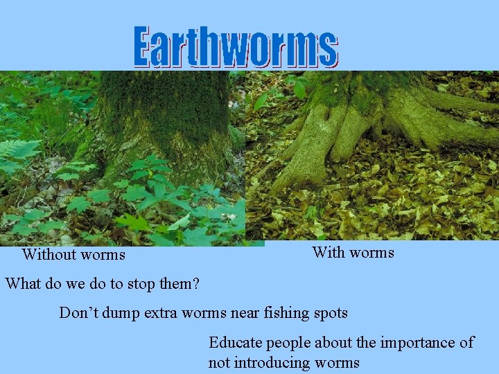 Without worms With worms What do we do to stop them? Don’t dump extra