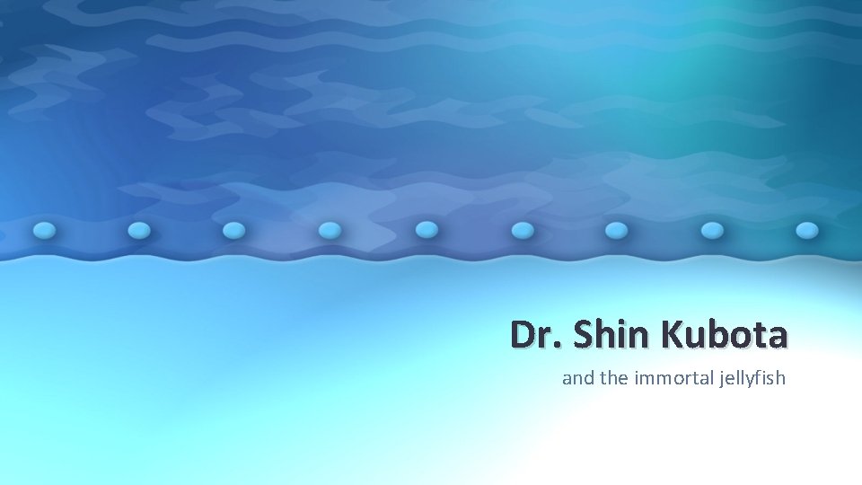 Dr. Shin Kubota and the immortal jellyfish 