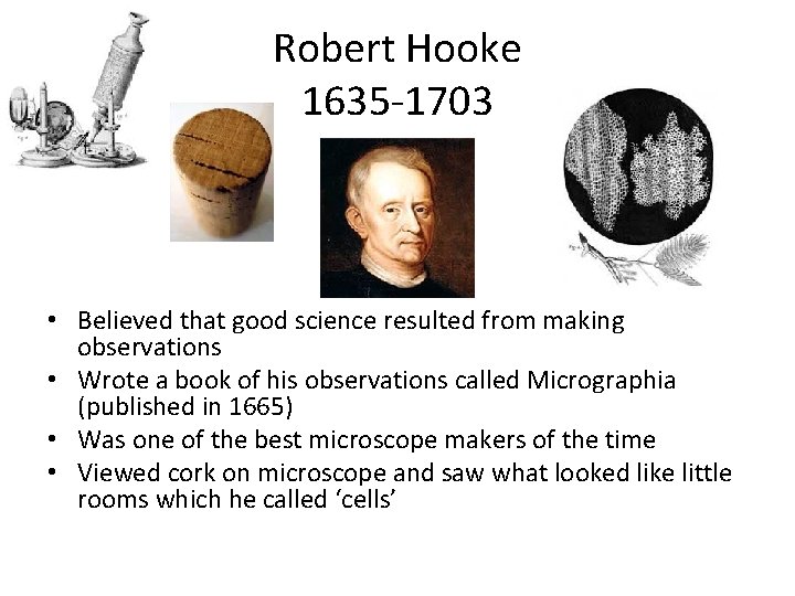 Robert Hooke 1635 -1703 • Believed that good science resulted from making observations •