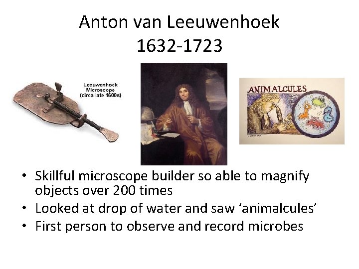 Anton van Leeuwenhoek 1632 -1723 • Skillful microscope builder so able to magnify objects