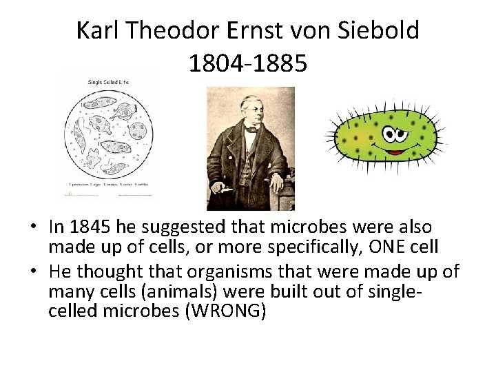 Karl Theodor Ernst von Siebold 1804 -1885 • In 1845 he suggested that microbes