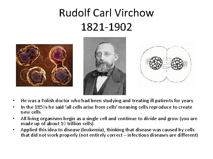 Rudolf Carl Virchow 1821 -1902 • • He was a Polish doctor who had