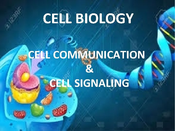 CELL BIOLOGY CELL COMMUNICATION & CELL SIGNALING 