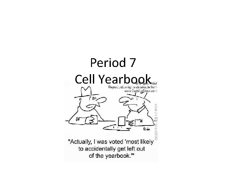 Period 7 Cell Yearbook 