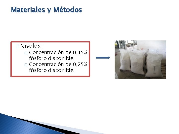 Materiales y Métodos � Niveles: � � Concentración de 0, 45% fósforo disponible. Concentración