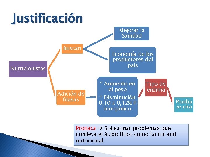 Justificación Buscan Nutricionistas Adición de fitasas Mejorar la Sanidad Economía de los productores del