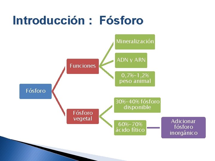 Introducción : Fósforo Mineralización Funciones ADN y ARN 0, 7%-1, 2% peso animal Fósforo