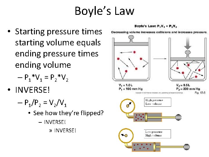 Boyle’s Law • Starting pressure times starting volume equals ending pressure times ending volume