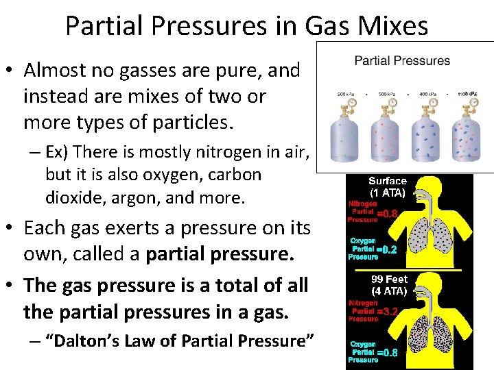 Partial Pressures in Gas Mixes • Almost no gasses are pure, and instead are